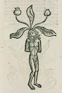 Alruin