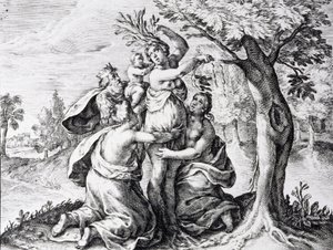 Mattei in Ovidius