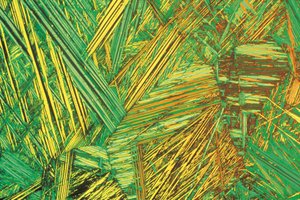 Micrografie (Licht) Aluminiumbrons, licht micrografie