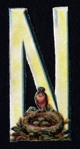 N als Nest. Kever decoupis over het thema dieren. Gravure. Serie van 26 wafelchromolithografieën van Engelse oorsprong. Eind 19e eeuw. door Unbekannt