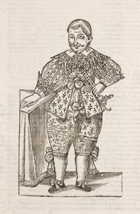 Dwerg van de Zeer Illustere D