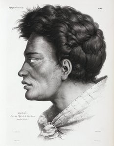 Natai, Maori hoofdman uit Bream Bay, Nieuw-Zeeland
