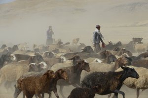 Nomadententen tussen Tamar en Ashkhaneh, Iran 2022