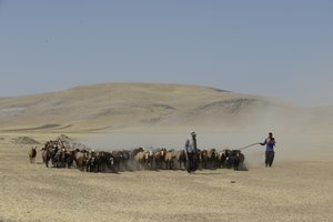 Nomadententen tussen Tamar en Ashkhaneh, Iran 2022