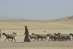 Nomadententen tussen Tamar en Ashkhaneh, Iran 2022 door Unbekannter Künstler