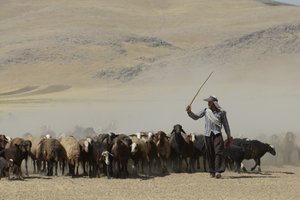 Nomadententen tussen Tamar en Ashkhaneh, Iran 2022