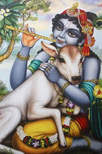 Schilderij dat de hindoegod Krishna afbeeldt die een fluit speelt en een kalf streelt. India