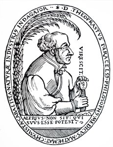 Paracelsus door Unbekannt