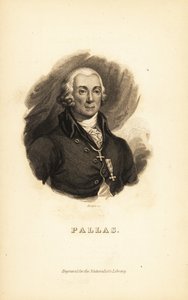 Peter Simon Pallas, Duitse ontdekkingsreiziger, zoöloog en botanicus