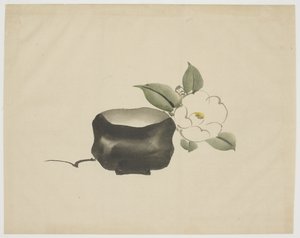 Raku theekom en witte camelia
