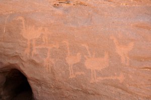 Rotstekeningen, Prehistorie: Gravure van een groep struisvogels, waarvan sommige belemmerd zijn (gevangen met een hindersteen) en twee figuren in het Uweinat-massief, Soedan. Periode van 8000 tot 3000 jaar v.Chr. Fotografie