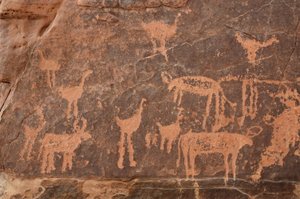 Rotstekeningen, Prehistorie: Detail van een gravure van een set struisvogels en vee in het Uweinat-massief, Egypte (Periode van 8000 tot 3000 jaar v.Chr.). Fotografie