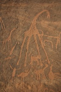 Rotstekeningen, Prehistorie: Gravure van giraffen, struisvogels, schapen en figuren in het Uweinat-massief, Soedan (Karkur-Talh of Karkur Talh). Periode van 8000 tot 3000 jaar v.Chr. Fotografie door Unbekannt