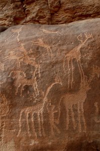 Rotstekeningen, Prehistorie: Gravure van giraffen, struisvogels, schapen, hond en figuur in het Uweinat-massief, Soedan (Karkur-Talh of Karkur Talh). Periode van 8000 tot 3000 jaar v.Chr. Fotografie