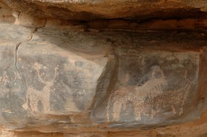 Rotstekeningen, Prehistorie: Gravure van drie vee in het Uweinat-massief, Soedan. Fotografie door Unbekannt