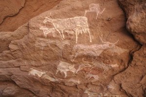 Rotstekeningen, Prehistorie: Rotsschildering van een groep vee in een versierde schuilplaats, in het Uweinat-massief, Soedan (Karkur-Talh of Karkur Talh). Periode van 8000 tot 3000 jaar v.Chr. Fotografie door Unbekannt