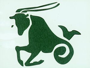 Sterrenbeeld: de Steenbok