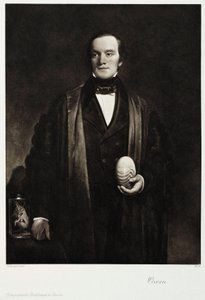 Sir Richard Owen, Engelse natuuronderzoeker en paleontoloog, ca. 1845 door Unbekannt