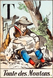 T Scheren van schapen - "Alfabet van de boerderij" eind 19e eeuw (gravure)