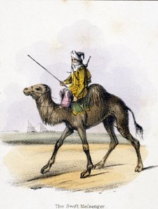 De Snelle Boodschapper door Unbekannter Künstler