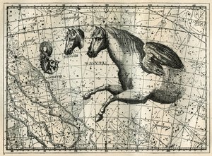 Het sterrenbeeld Pegasus, getekend als de voorste helft van een paard met een paar vleugels, het Kleine Paard, een paardenhoofd, en de Dolfijn. Gravure uit 