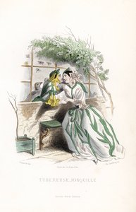 De knolfee en een elf narcis worden het hof gemaakt op een tuinbank, naast een muur - Ets door Charles Geoffroy (1819-1882), gebaseerd op een illustratie door Jean Ignace Isidore Gerard alias J.J.Granville (1803-1847), voor Les fleurs animees