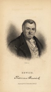 Thomas Bewick, Engelse graveur en natuurhistorische auteur
