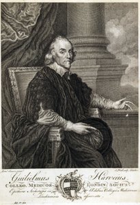 William Harvey, Engelse arts