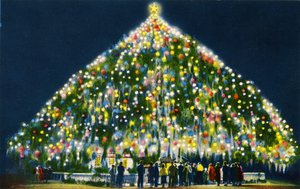 Grootste levende kerstboom ter wereld, Wilmington door Unbekannter Künstler