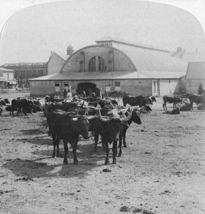 Gebouw waarin krijgsgevangenen werden berecht, Pretoria, Zuid-Afrika, Boerenoorlog door Underwood and Underwood