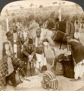 Experts die zijdecocons kopen, voor export naar Frankrijk, Antiochië, Syrië, 1900s
