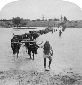 Doorwaden van de Modderrivier, Boerenoorlog, Zuid-Afrika, 15 februari 1901 door Underwood and Underwood