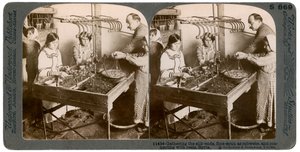 Zijdeproductie, Syrië, 1900s