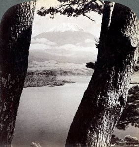 Mount Fuji, gezien vanuit het noordwesten, door dennen bij Lake Motosu, Japan, 1904