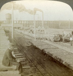 Fabriek en rangeerterreinen van een houtconserveringsbedrijf, Escanaba, Michigan, VS door Underwood and Underwood