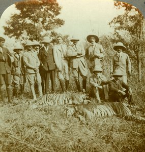 Tijgerjacht, Cooch Behar, West-Bengalen, India, ca. 1900s