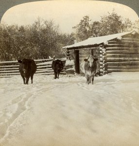 Winter op een ranch, Montana, VS