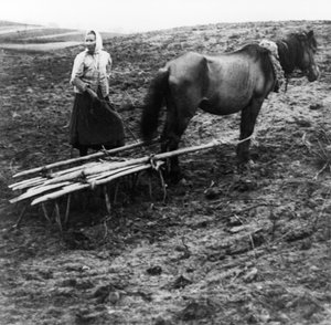 Een boerin met paard die de grond bewerkt op een boerderij in het dorp Voronovo aan de Wolga in pre-revolutionair Rusland, 1900