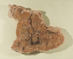 Fragment van een muurschildering met een ruiter door Unknown