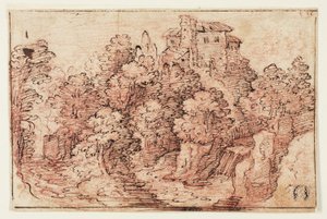 Landschap: Huis op beboste heuvel door Unknown
