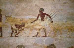 Processie met vee en gazellen, detail van een grafmuurschildering, Egyptisch, Oude tot Middenrijk (beschilderd kalksteen)