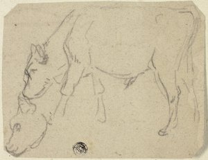 Schetsen van grazende stier, koeienkop (recto); zittende koe in profiel (verso)