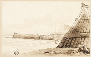 Palisade langs de kust