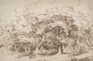 Studie van bomen door Unknown