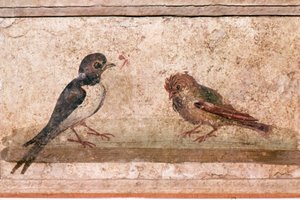 Zwaluw en Mus, Romeinse muurschildering uit Boscoreale bij Pompeii, 1e eeuw door Unknown