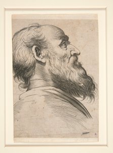 Zonder titel (bearded man, looking up to left) door Unknown