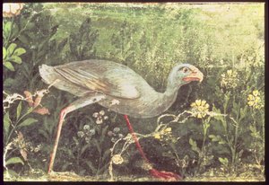 Muurschildering van een Sultan kip in een tuin, Pompeii