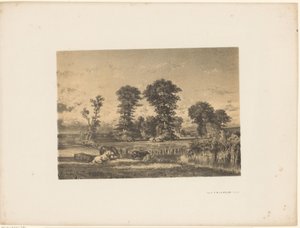 Weidelandschap met grazende paarden
