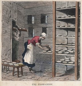 Een kaasfabriek. 19e-eeuwse illustratie. Bianchetti Collectie door Unknown artist