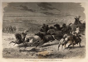 Een rodeo in Lauramarca (Laag-Peru), de vangst van wilde paarden, voordat ze gemerkt worden met de initialen van de eigenaar van de regio, beschouwd als een compleet spektakel, veel toeschouwers verzameld. Gravure ter illustratie van de reis in de valleien